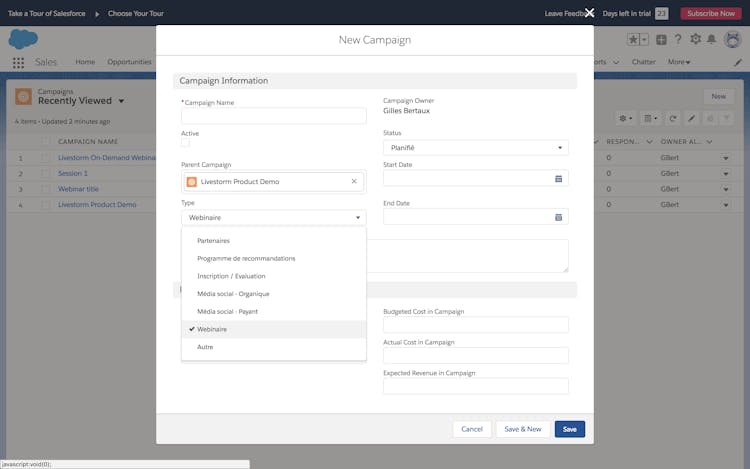 campaign form salesforce webinar